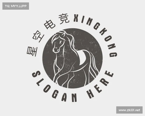 了解星空电竞xingkong